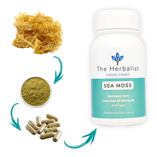 moringa